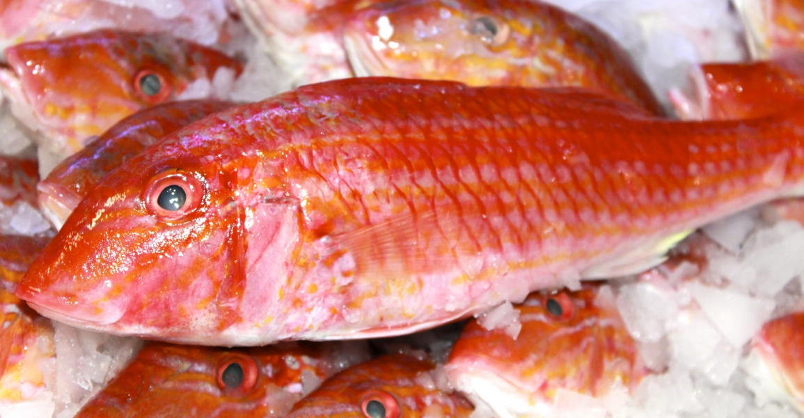 Rodemull